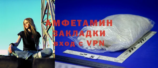 ПСИЛОЦИБИНОВЫЕ ГРИБЫ Гусев