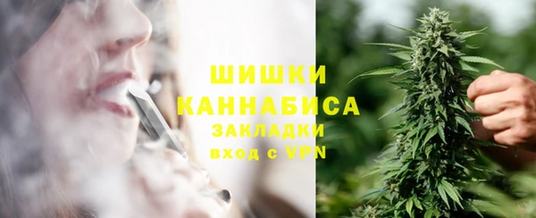 ПСИЛОЦИБИНОВЫЕ ГРИБЫ Гусев
