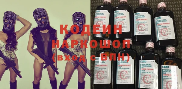 ПСИЛОЦИБИНОВЫЕ ГРИБЫ Гусев
