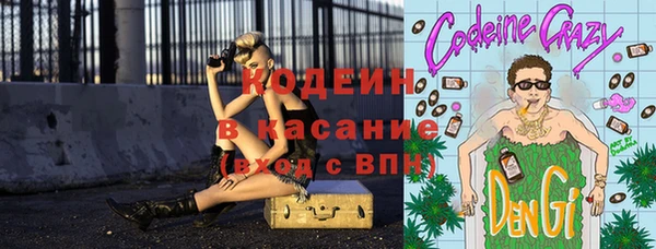 ПСИЛОЦИБИНОВЫЕ ГРИБЫ Гусев