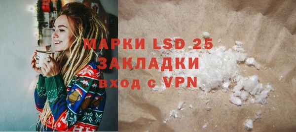 ПСИЛОЦИБИНОВЫЕ ГРИБЫ Гусев