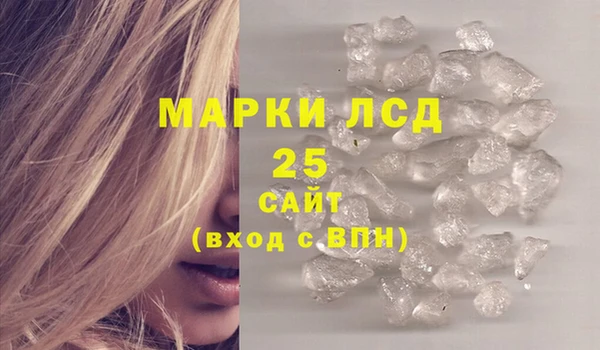 ПСИЛОЦИБИНОВЫЕ ГРИБЫ Гусев