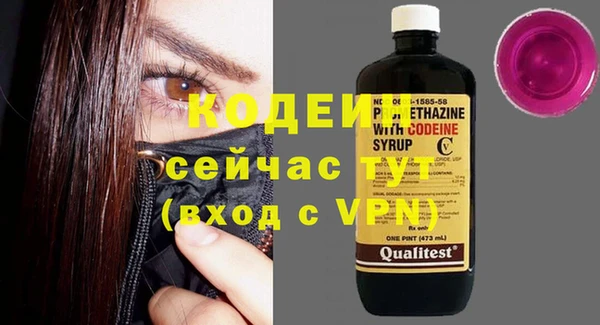 ПСИЛОЦИБИНОВЫЕ ГРИБЫ Гусев