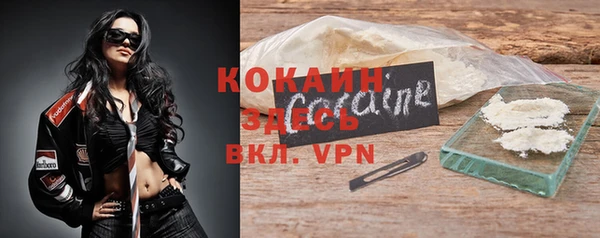 ПСИЛОЦИБИНОВЫЕ ГРИБЫ Гусев