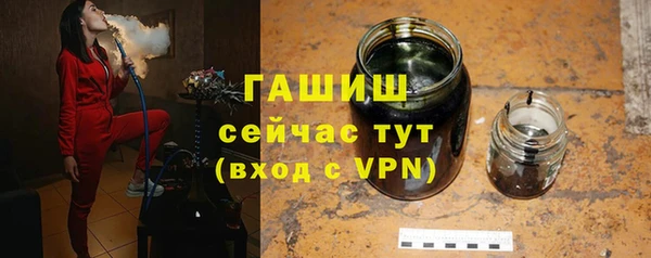 ПСИЛОЦИБИНОВЫЕ ГРИБЫ Гусев